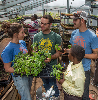 greenhouse